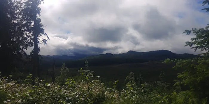 Keenig Creek Campground Picture 7