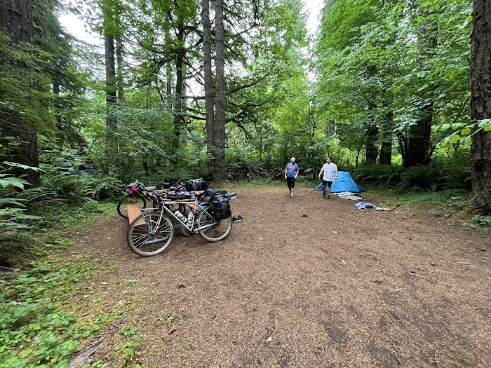 Trask River County Campground Picture 2