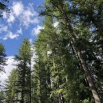 Trask River County Campground