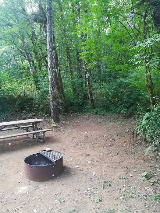 Trask River County Campground Picture 9