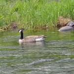 Trask River RV Park