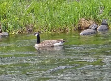 Trask River RV Park