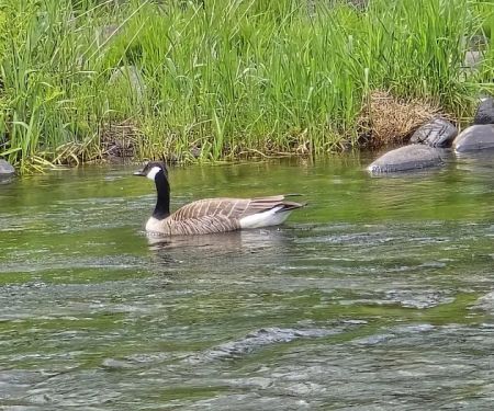 Trask River RV Park