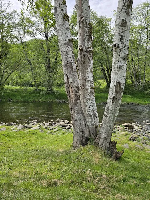 Trask River RV Park Picture 5