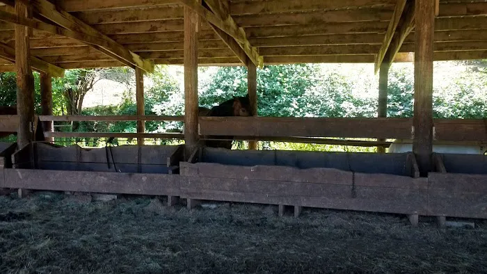 Flying M Ranch Picture 7