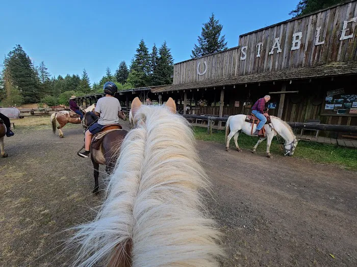 Flying M Ranch Picture 5