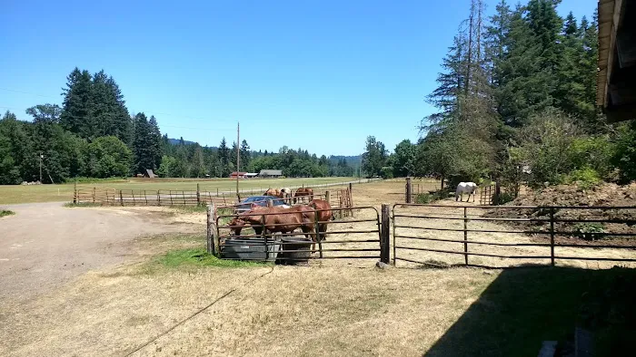 Flying M Ranch Picture 9