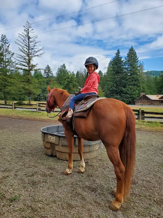 Flying M Ranch Picture 8