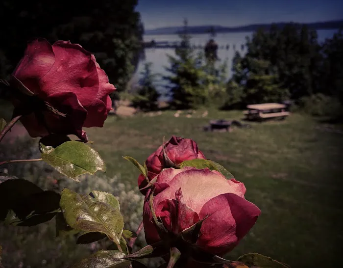 Rose Creek Retreat Picture 1