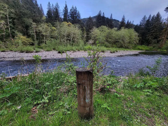 Kilchis River County Campground Picture 2