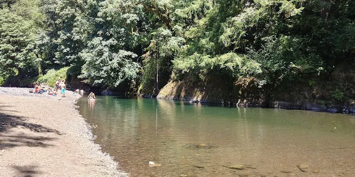 Kilchis River County Campground Picture 9