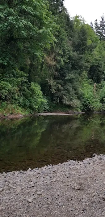Kilchis River County Campground Picture 1