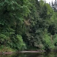 Kilchis River County Campground ico