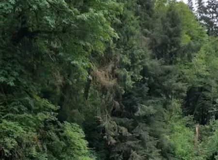 Kilchis River County Campground