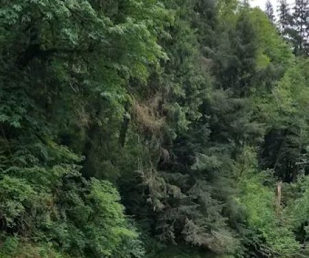 Kilchis River County Campground