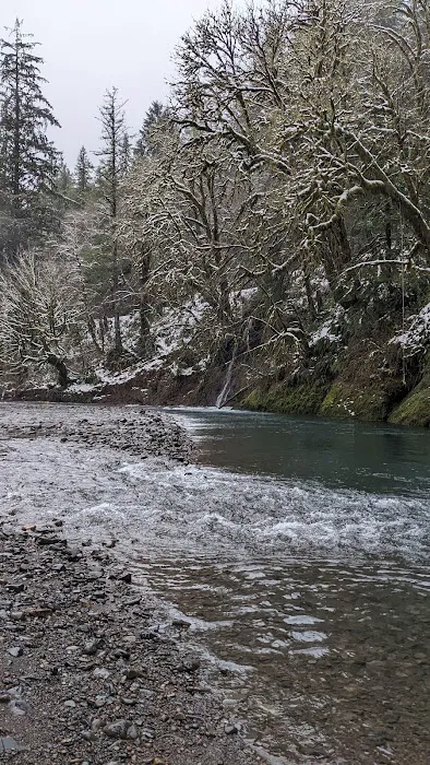 Kilchis River County Campground Picture 3