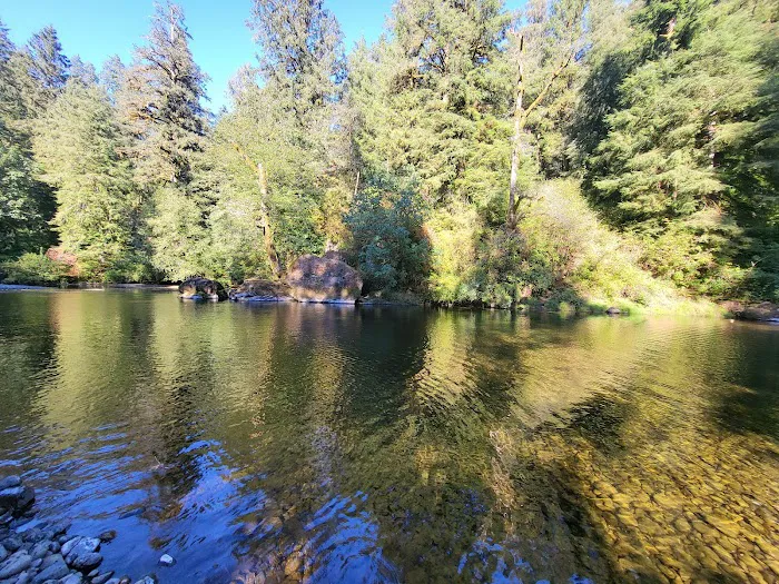 Kilchis River County Campground Picture 8