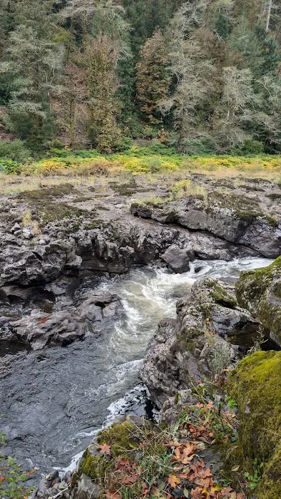 Nehalem Falls Campground Picture 2