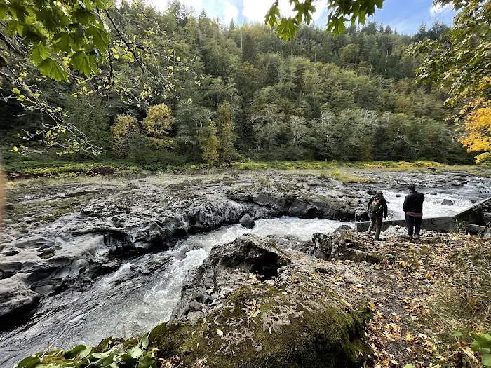 Nehalem Falls Campground Picture 1