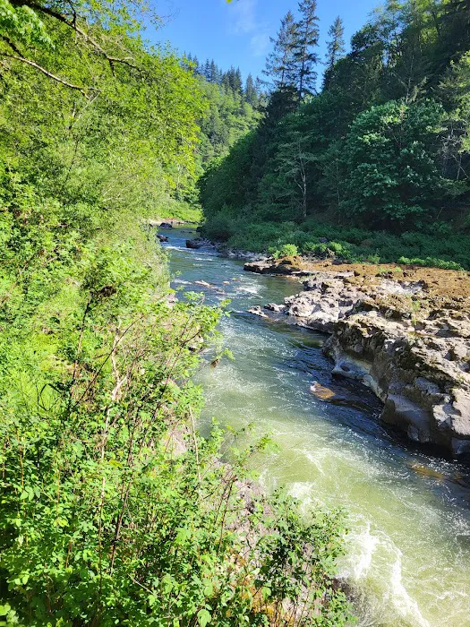 Nehalem Falls Campground Picture 9