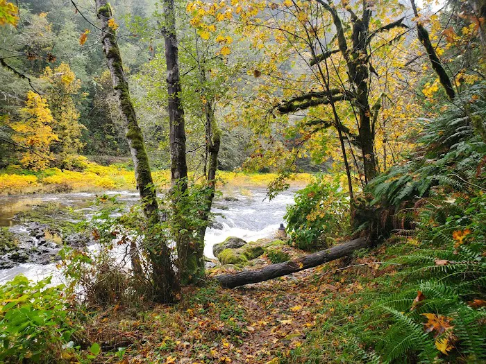 Nehalem Falls Campground Picture 10