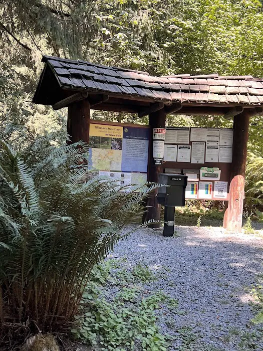Nehalem Falls Campground Picture 5