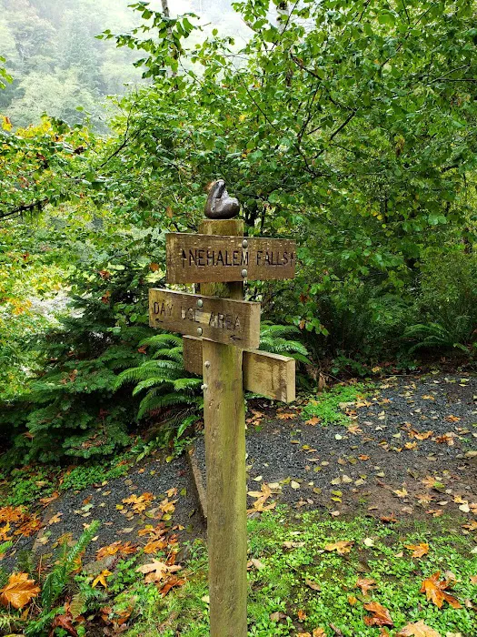 Nehalem Falls Campground Picture 6