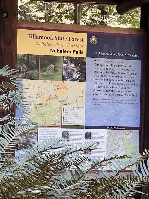 Nehalem Falls Campground Picture 8