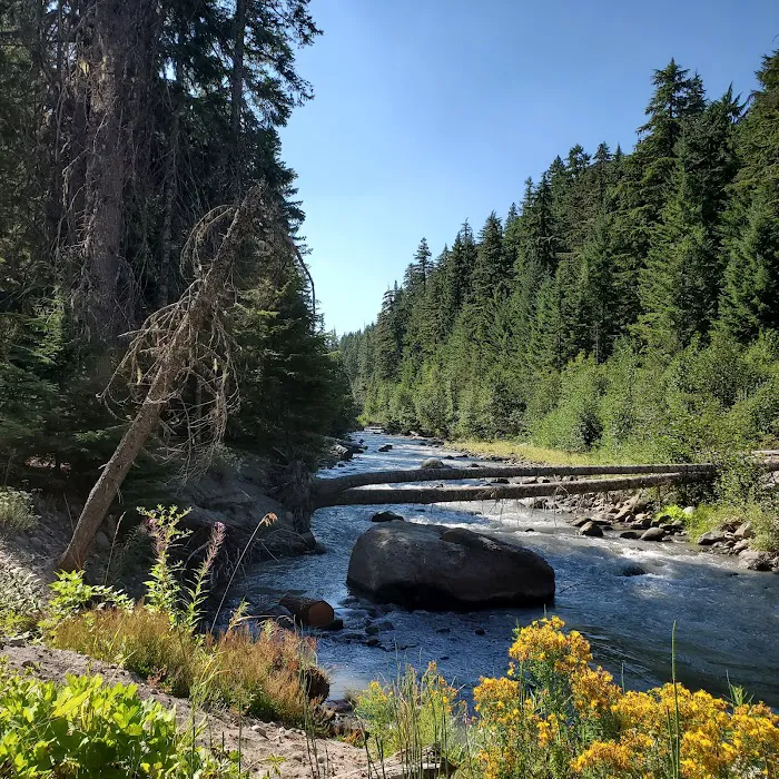 Sherwood Campground Picture 9
