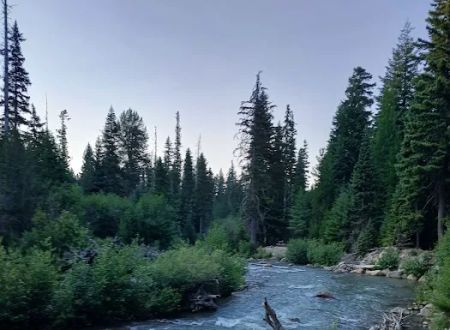 Nottingham Campground