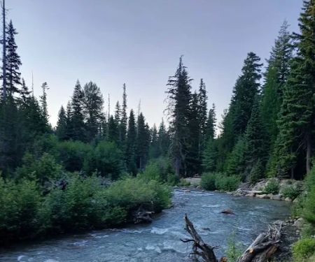 Nottingham Campground