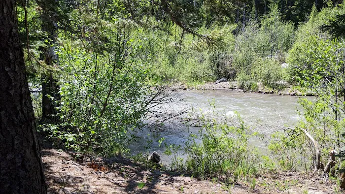 Nottingham Campground Picture 2
