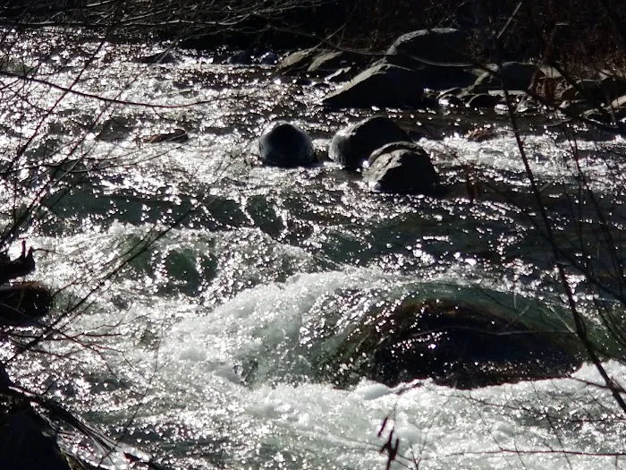 Nottingham Campground Picture 8