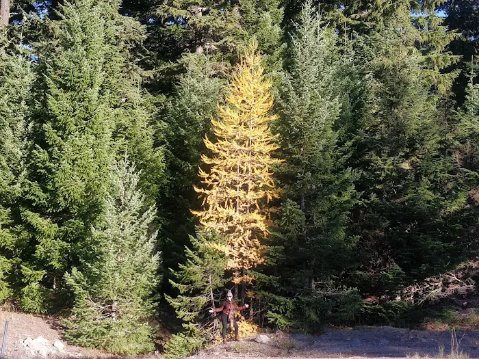 Nottingham Campground Picture 5