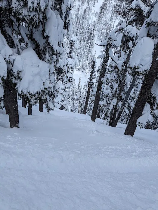 Mt Hood Meadows RV Row Picture 2