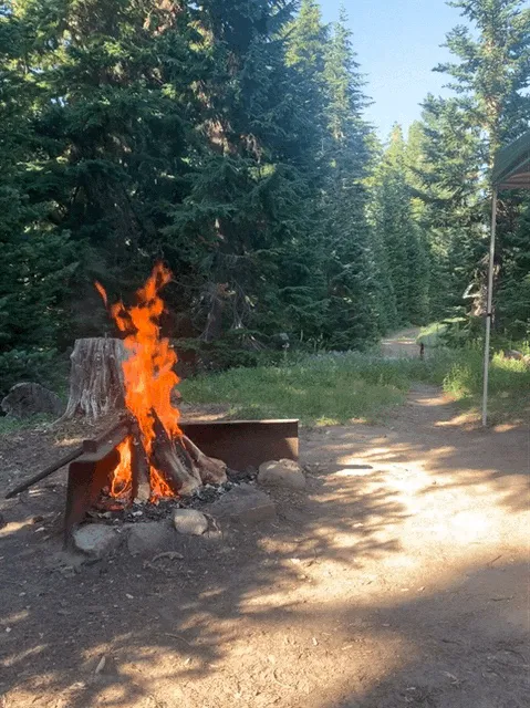 Alpine Campground Picture 1