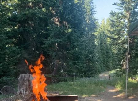 Alpine Campground