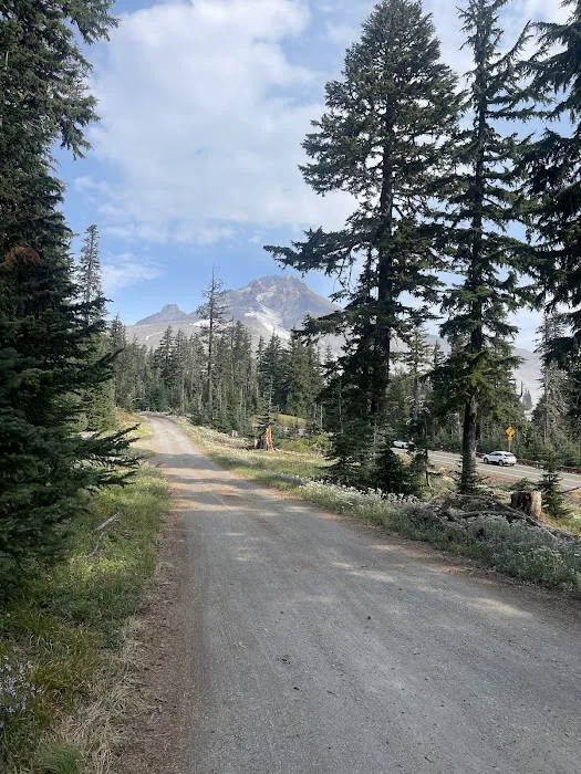 Alpine Campground Picture 2