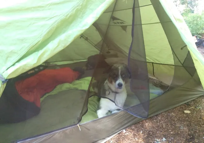 Still Creek Campground Picture 1