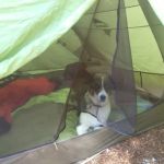 Still Creek Campground
