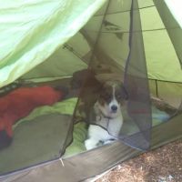 Still Creek Campground ico