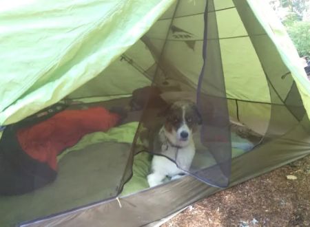 Still Creek Campground