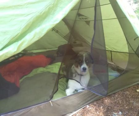 Still Creek Campground