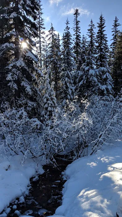 White River BSA Sno Park Picture 3