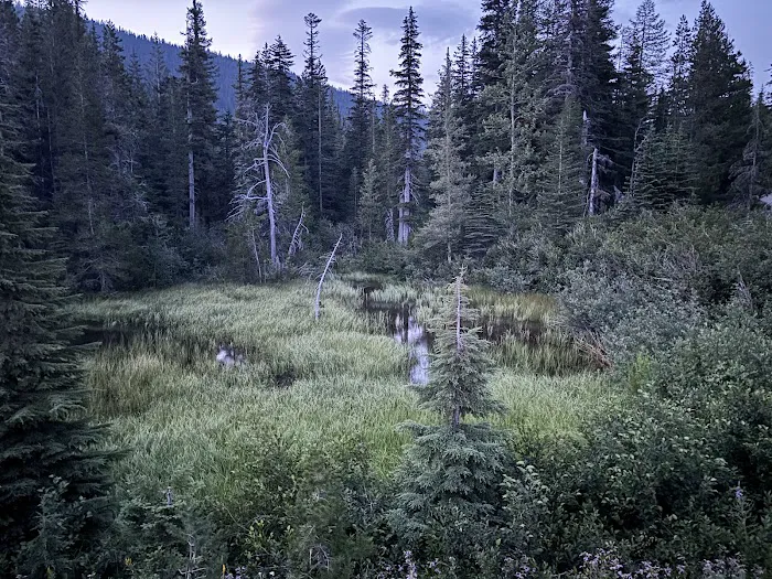 Badger Lake Campground Picture 10