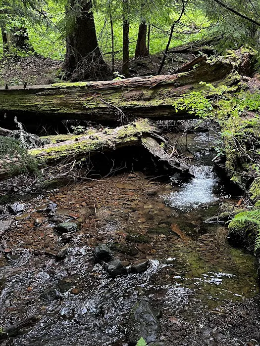 Devils Half Acre Campground Picture 2