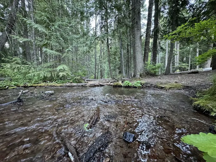 Pebble Ford Campground Picture 10