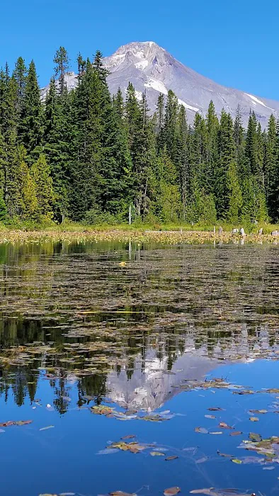 Trillium Campground Picture 4