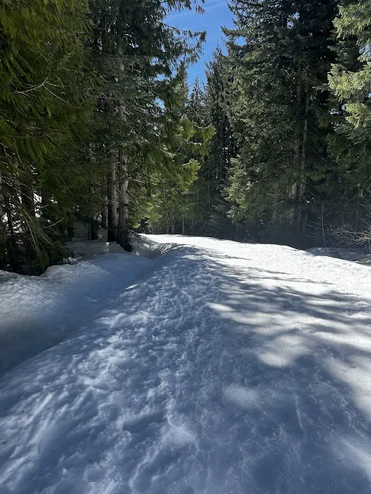 Trillium Campground Picture 8