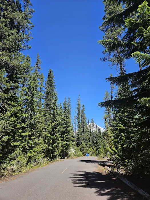 Trillium Campground Picture 9